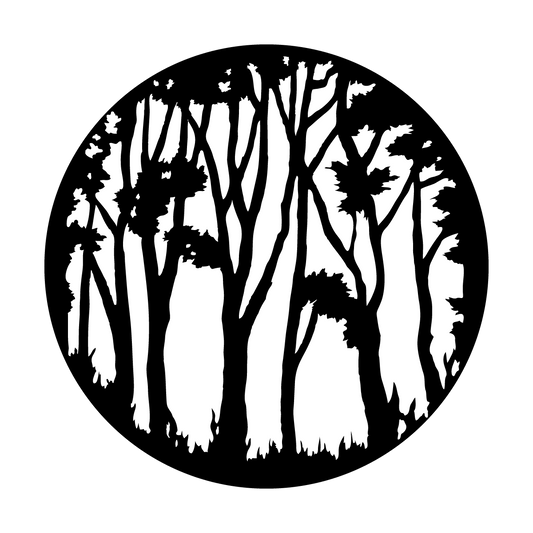 In The Forest