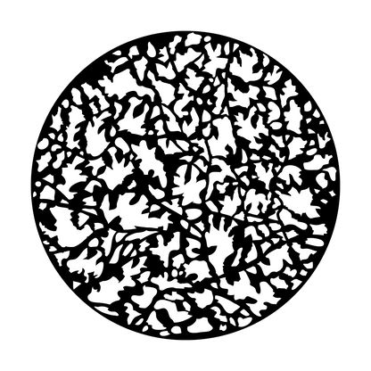 Backyard Brush - Apollo Gobos