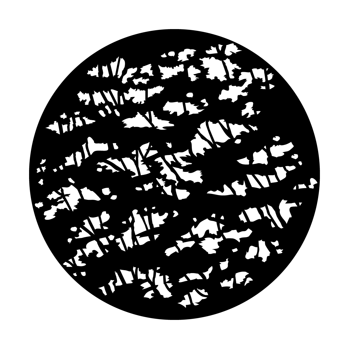 Thicket