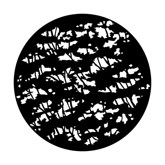 Thicket