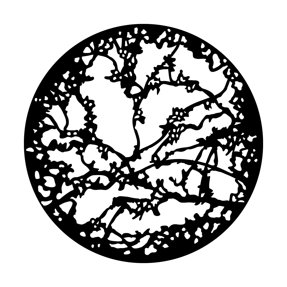 Open Twigs