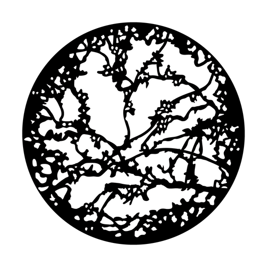 Open Twigs