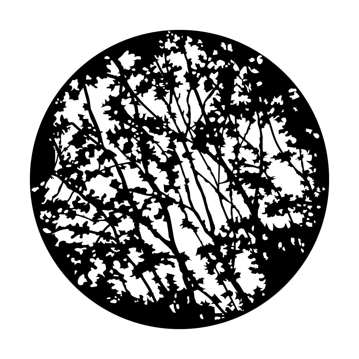 In The Thicket