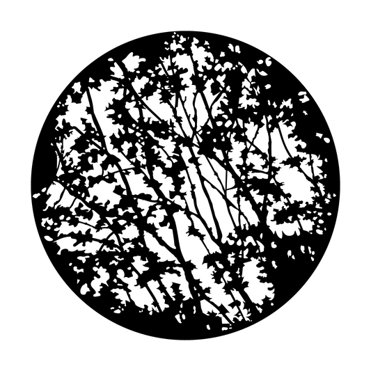 In The Thicket