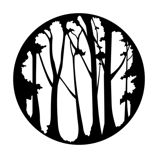 Sparse Forest