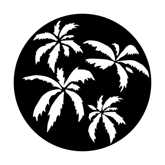 Palm Trees