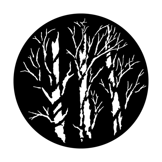 Winter Trees