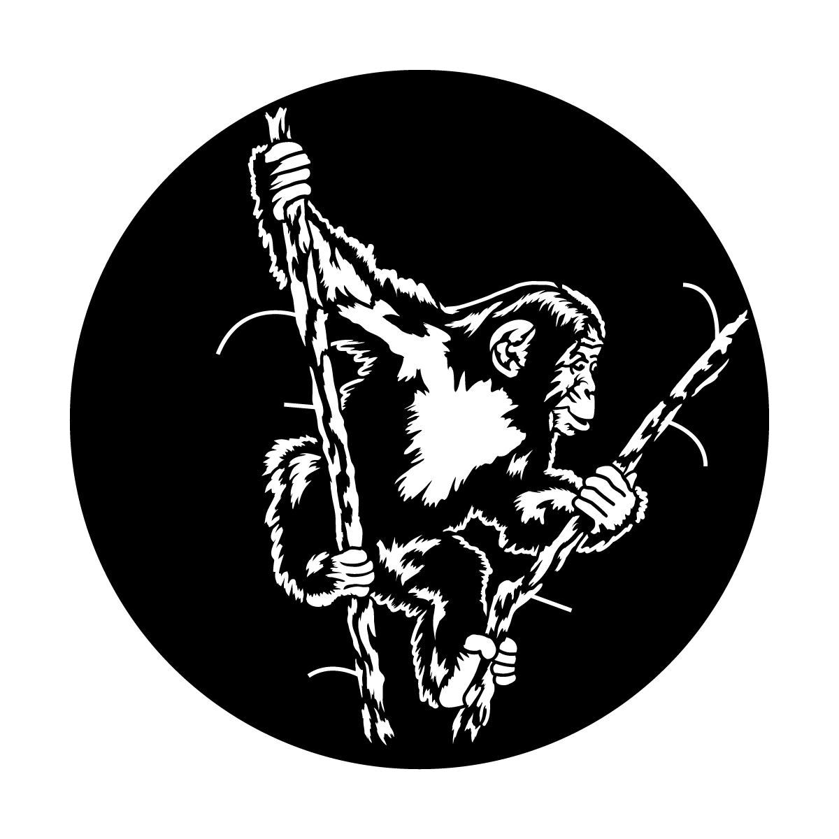 Swinging Chimp