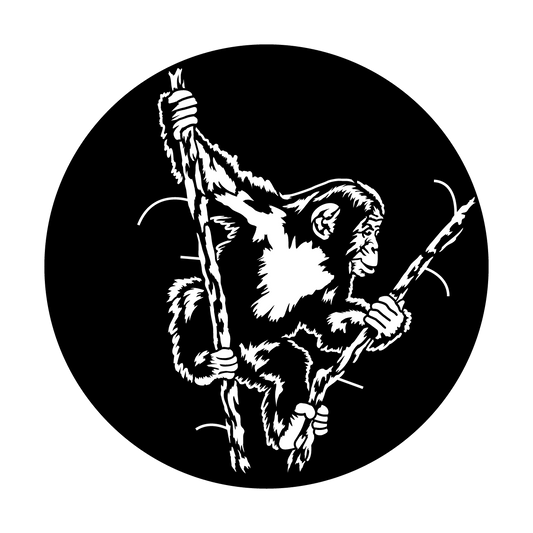 Swinging Chimp