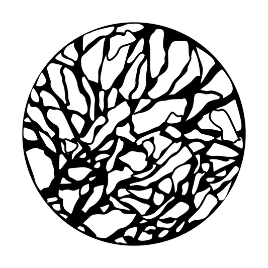 Cracked Rock