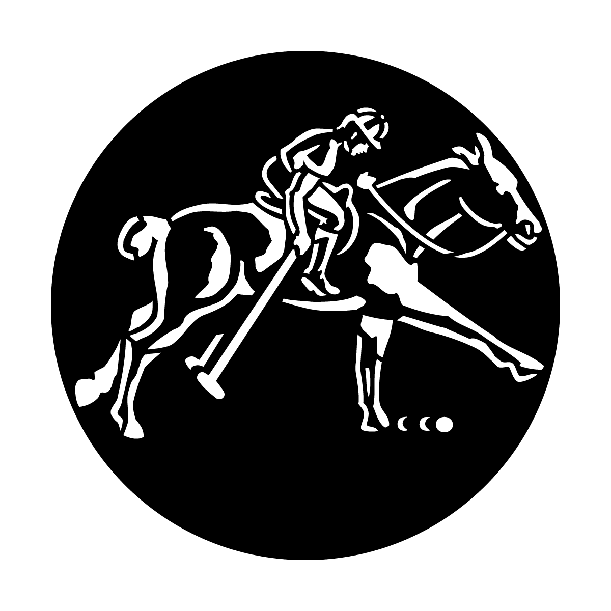 Sports - Polo Horse
