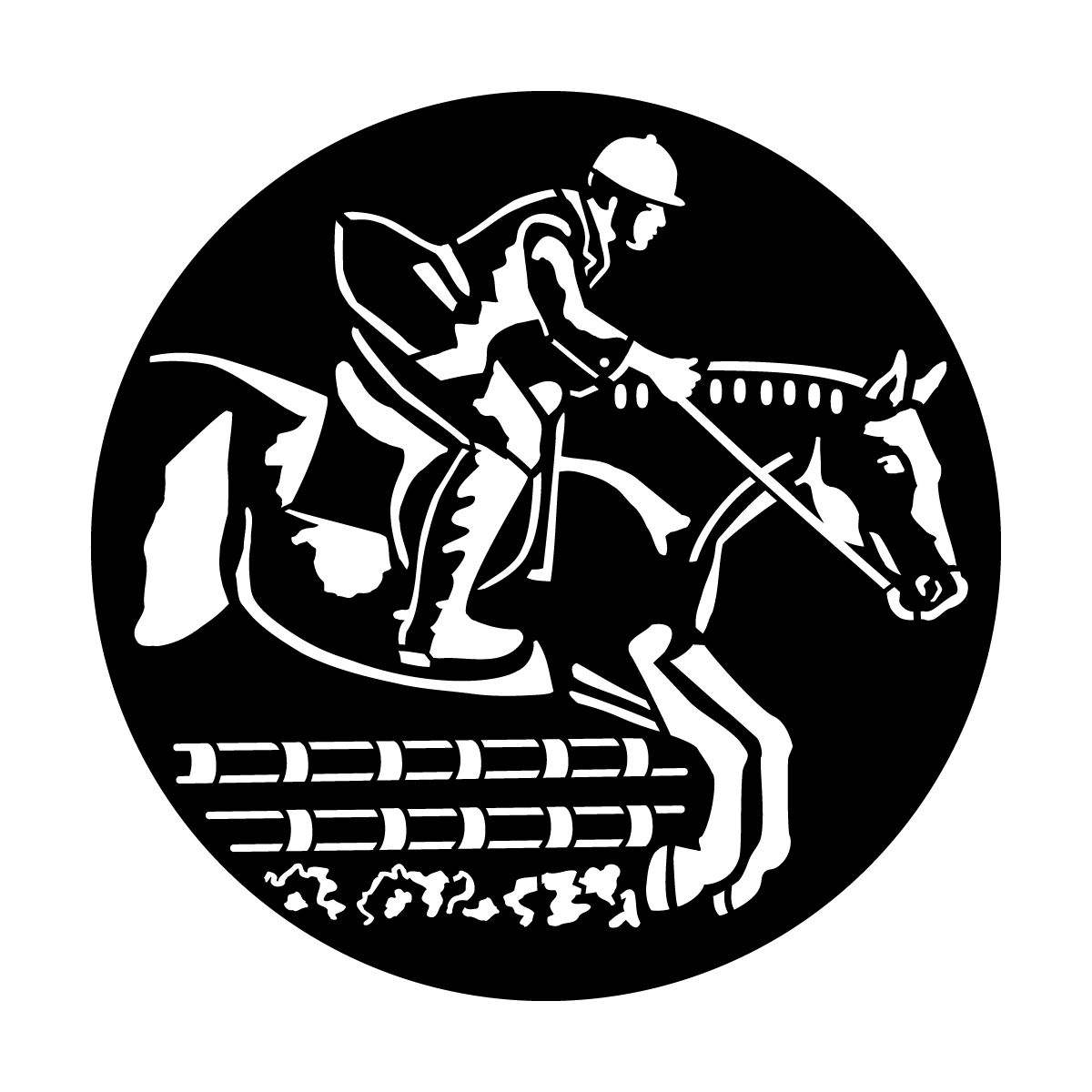 Horse Jumper