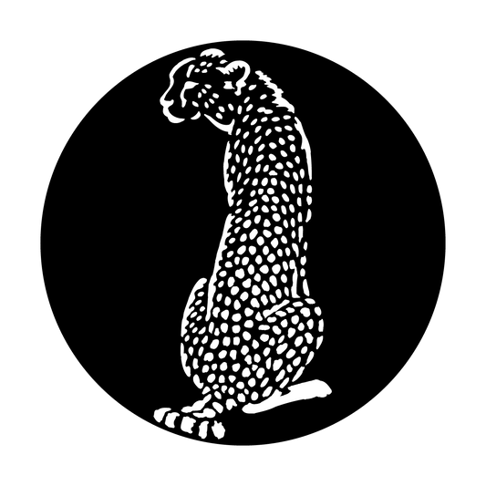 Africa - Cheetah