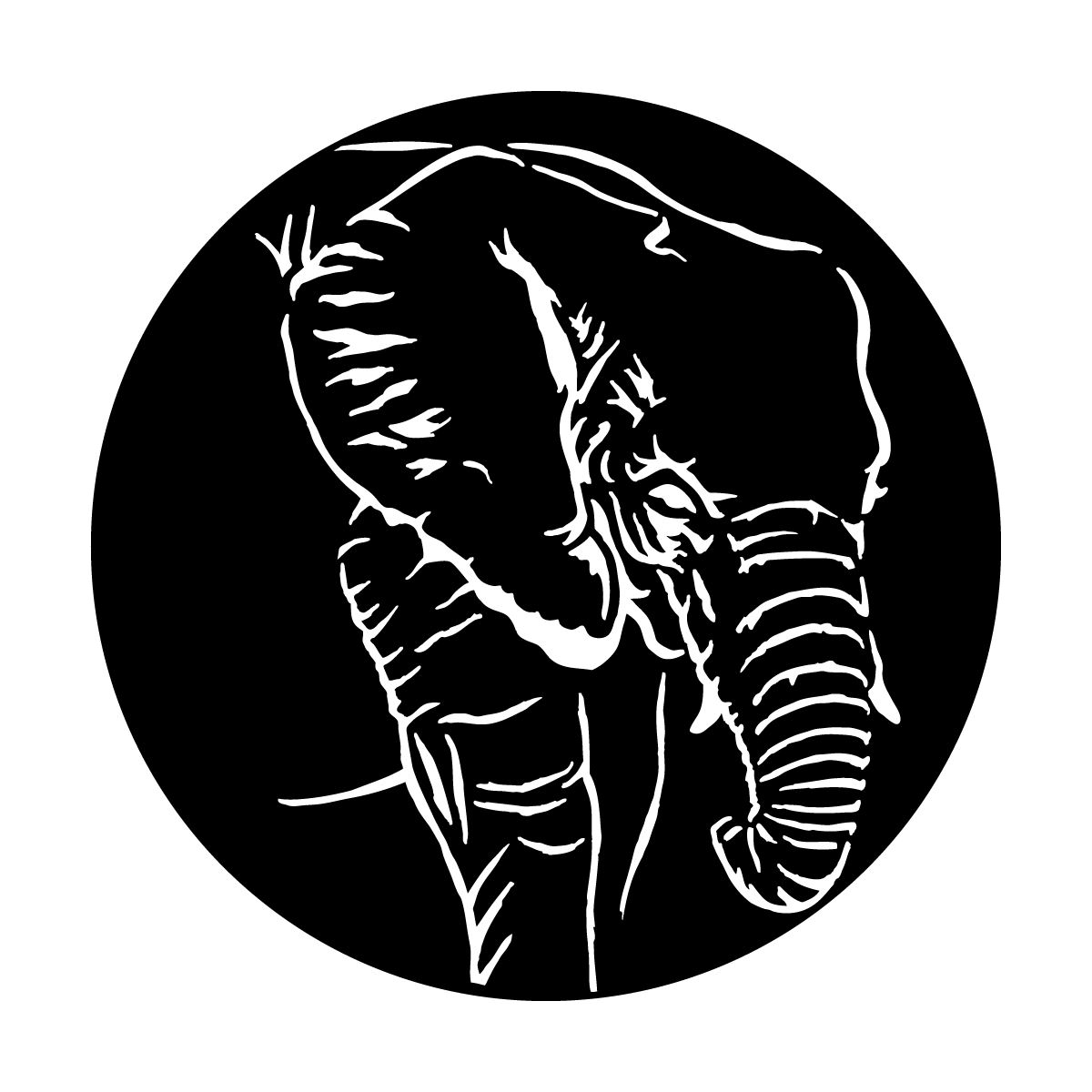 Africa - Elephant
