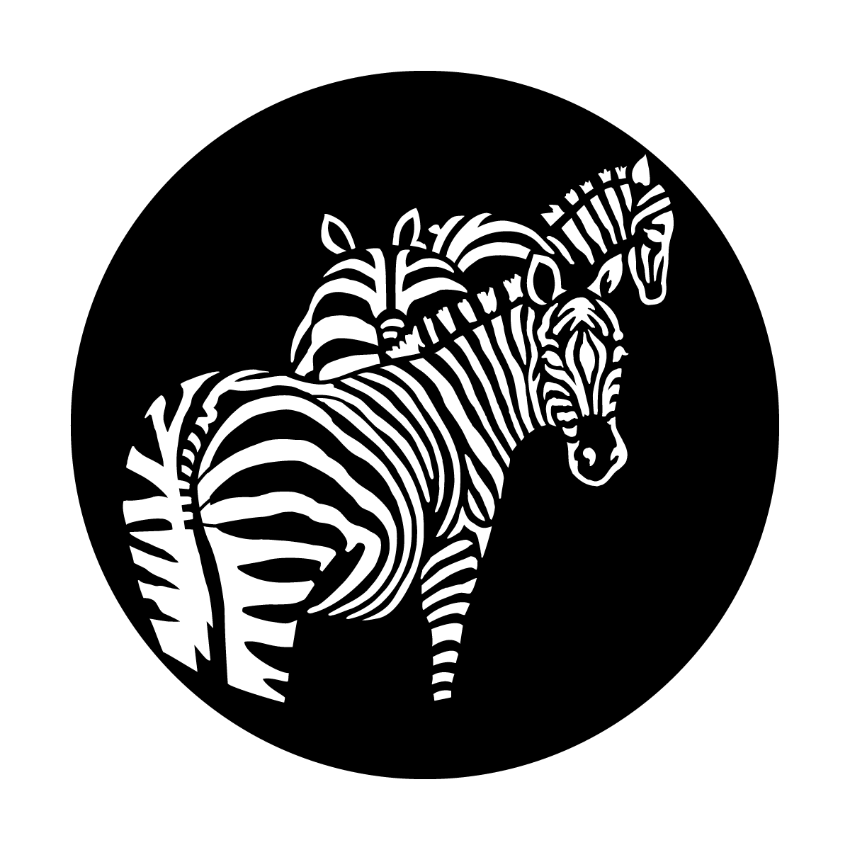 Africa - Zebras
