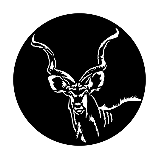 Africa - Kudu