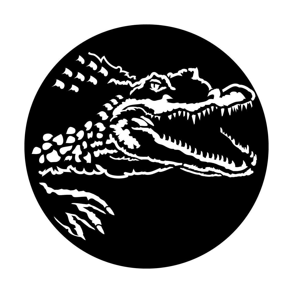 Africa - Crocodile