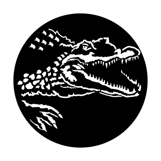 Africa - Crocodile