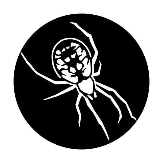 Spider 1