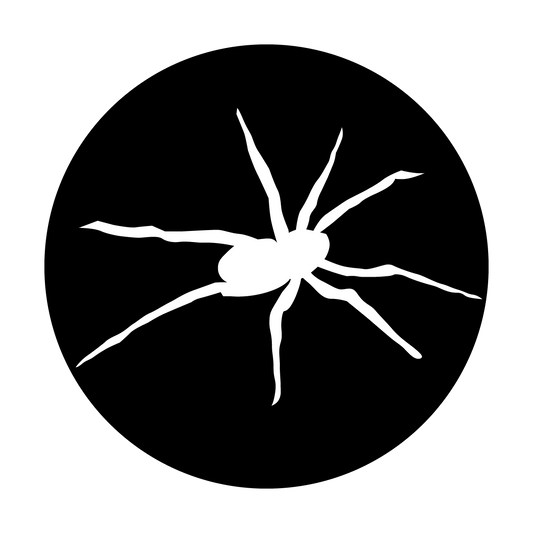 Spider 2