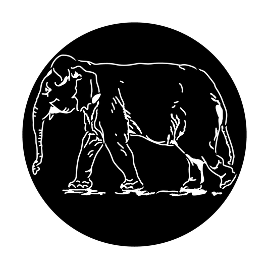 Africa - Elephant