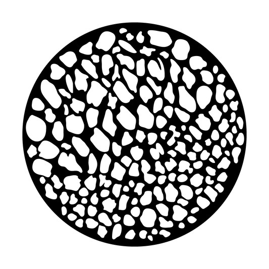 Large Speckles
