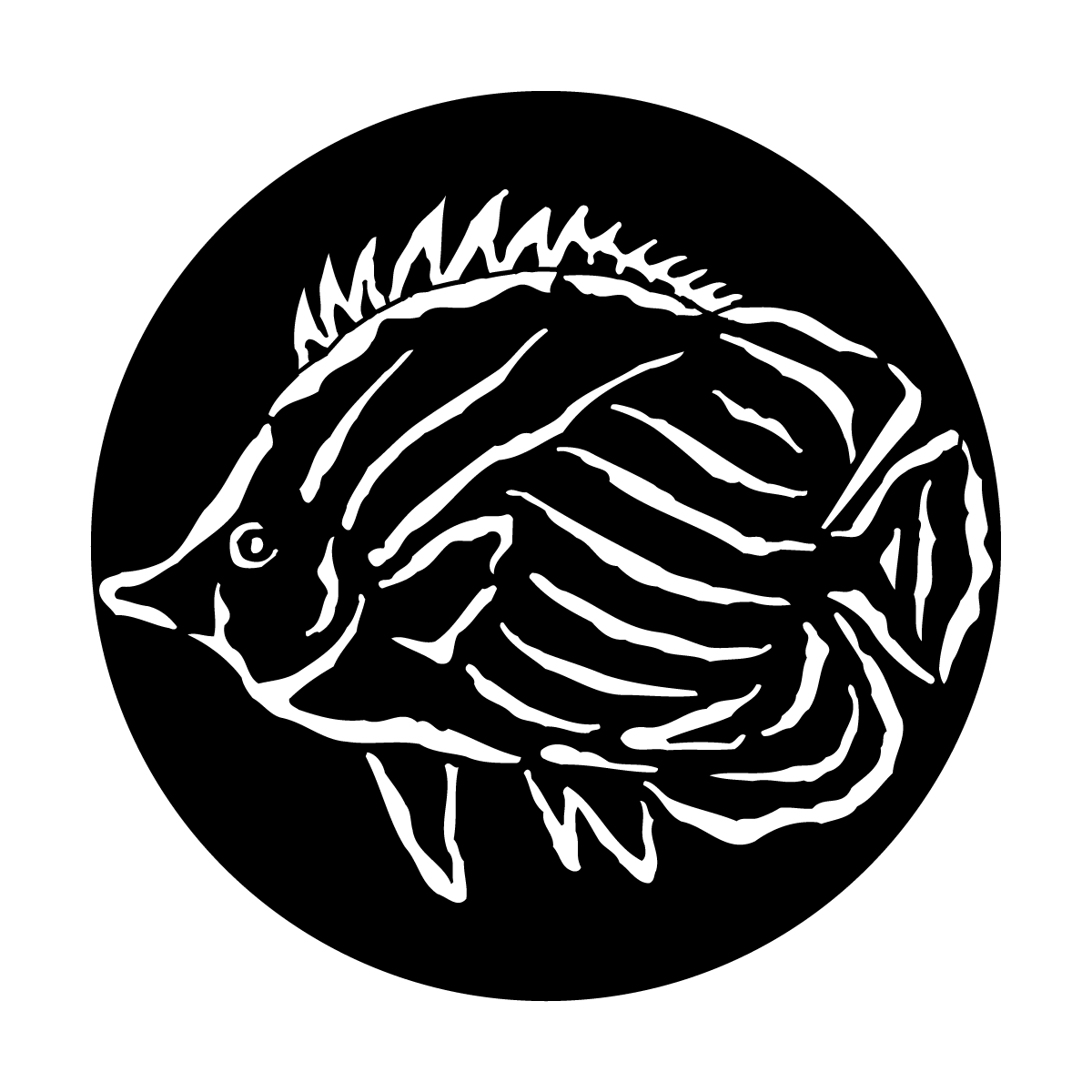 Sea Tropical Fish