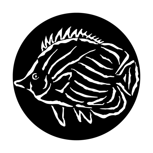 Sea Tropical Fish