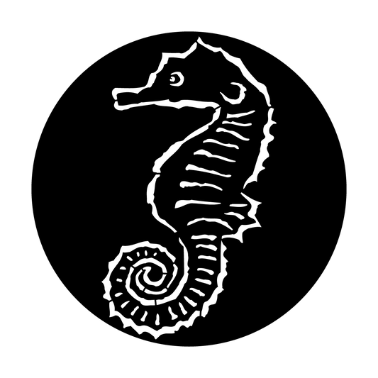 Sea Horse