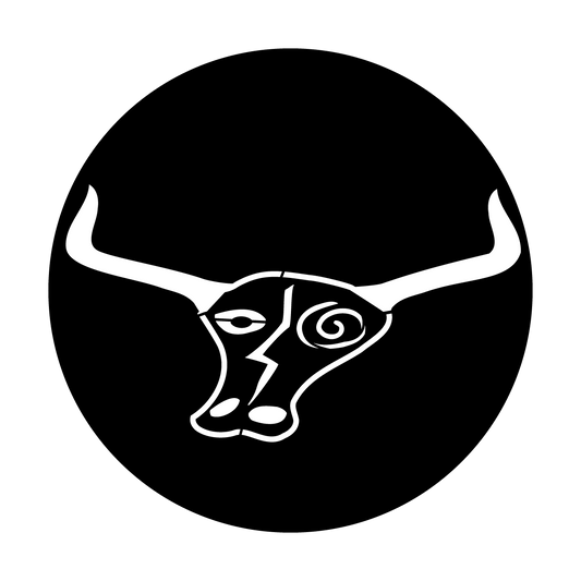 West Longhorn Skull