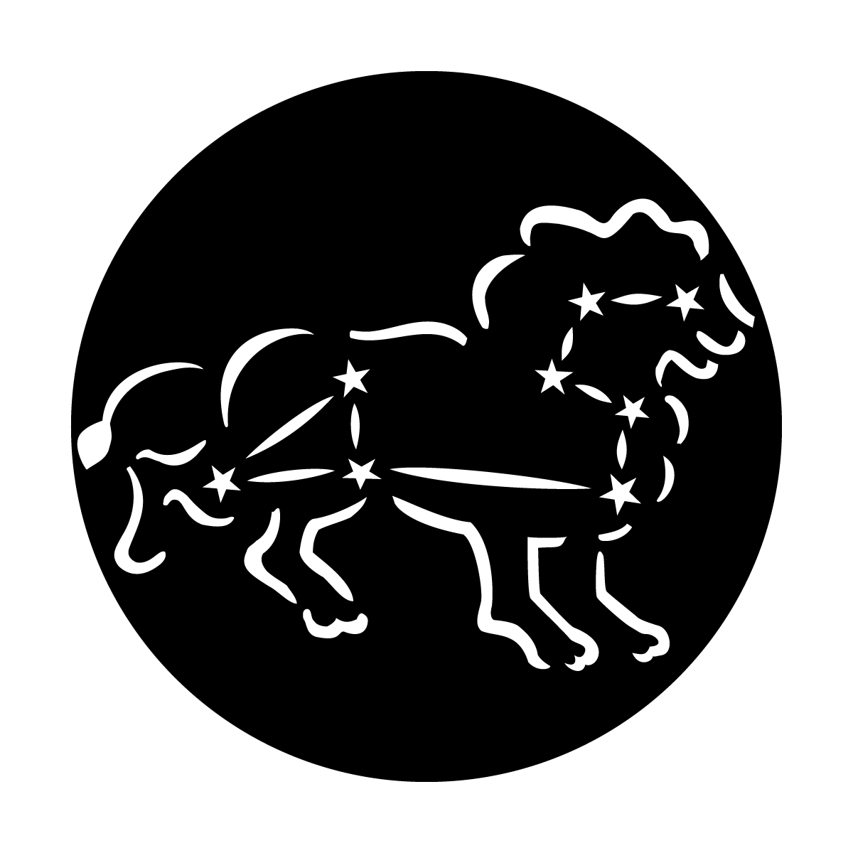 Constellations Leo the Lion