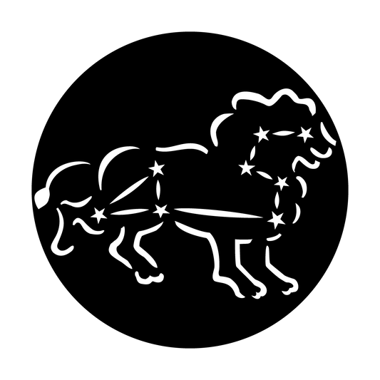 Constellations Leo the Lion