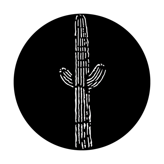West Desert Cactus