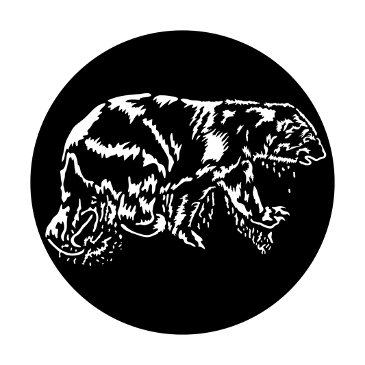 Sea Polar Bear