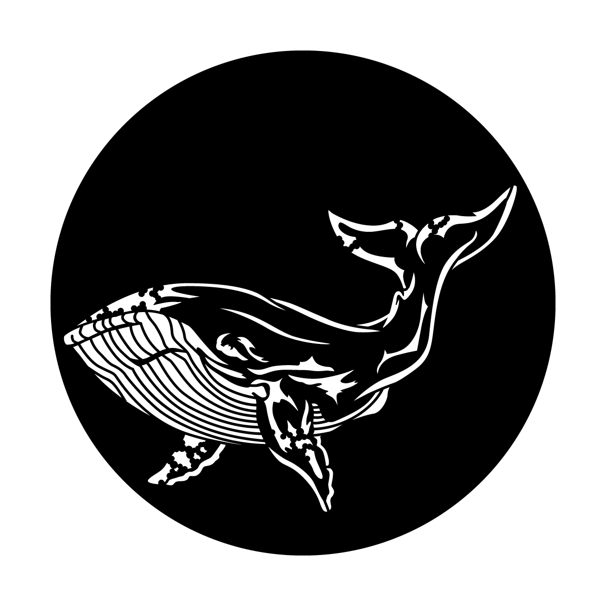 Sea Whale