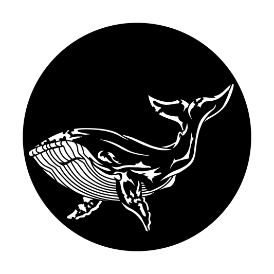 Sea Whale