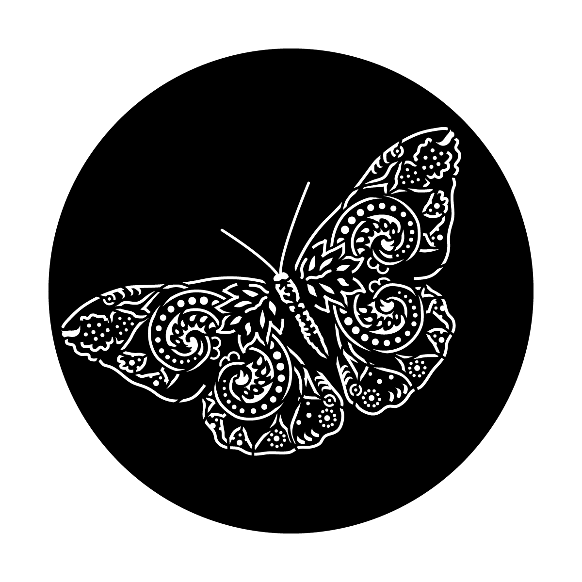 Paisley Wings