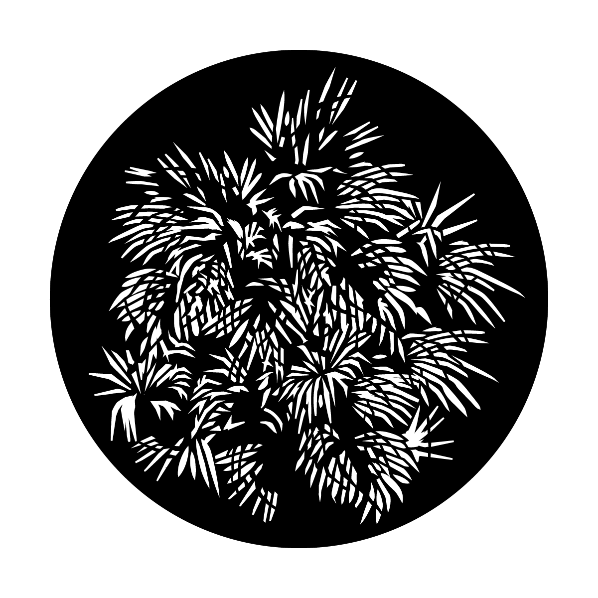 Palms Of Glory
