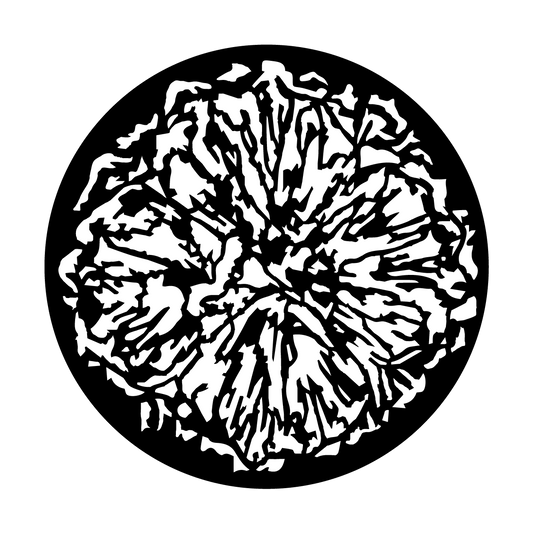 Pustules Filia