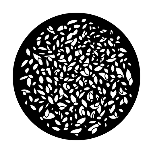 Falling Foliage