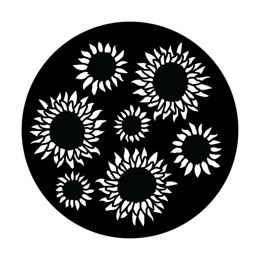 Summer Sunflowers