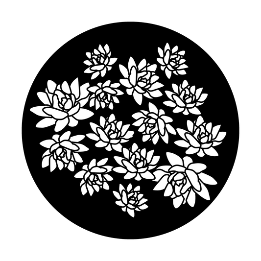 Floating Lotuses