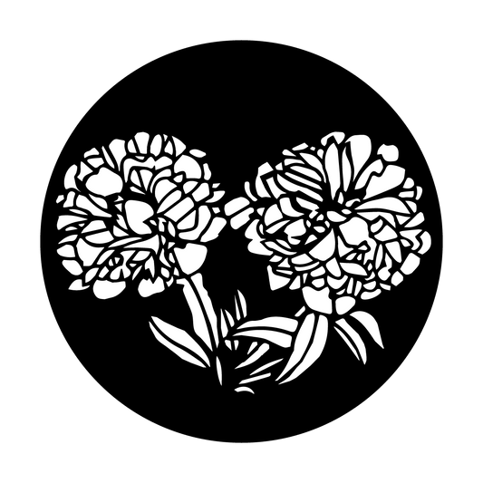 Peonies Pair