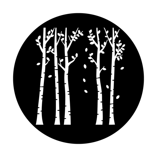 J. McDaniel - Birch Grove