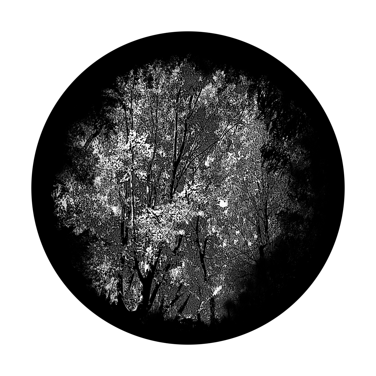 Dense Forest