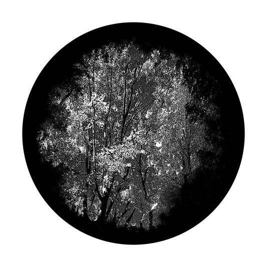 Dense Forest