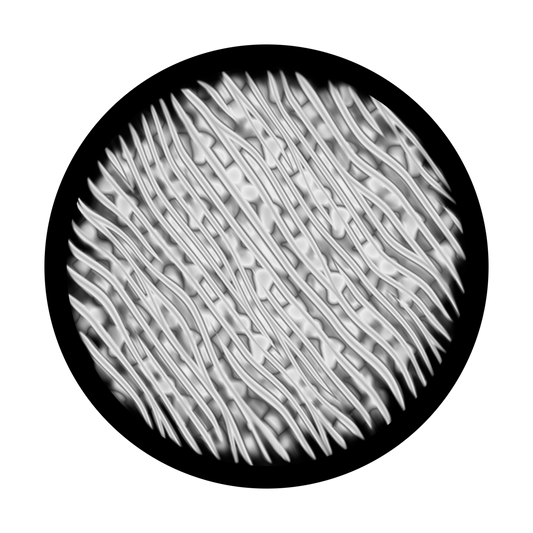 Cells