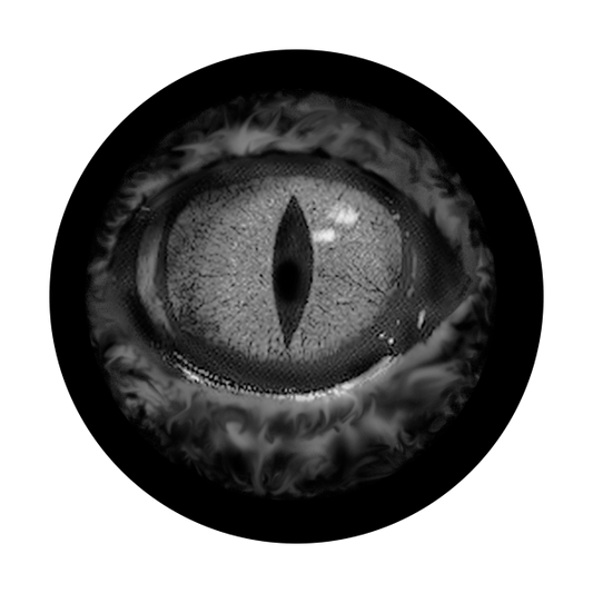 Eye