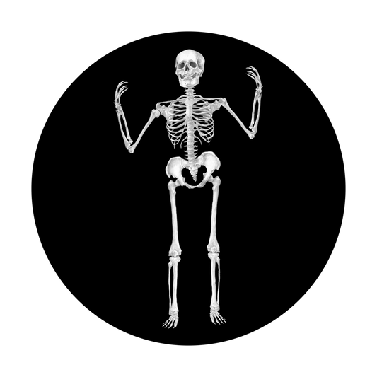 Skeleton