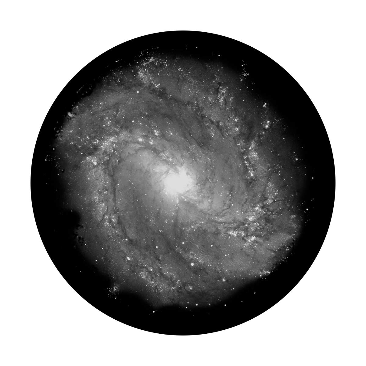 Spiral Galaxy
